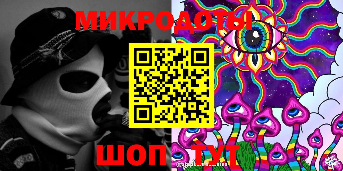 Псилоцибиновые грибы Psilocybine cubensis Киселёвск